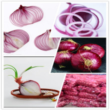 2015 China New Crop Fresh Red Onions